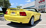 2001 Mustang 2dr Convertible GT Del Thumbnail 15
