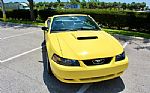 2001 Mustang 2dr Convertible GT Del Thumbnail 23