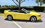 2001 Mustang 2dr Convertible GT Del Thumbnail 20