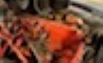 1949 100 Thumbnail 13