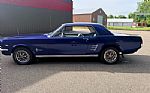 1966 Mustang Thumbnail 9