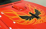 1975 Firebird Trans Am 455 Thumbnail 73