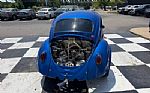 1964 Beetle Thumbnail 4