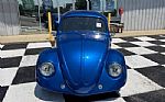 1964 Beetle Thumbnail 8