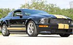 2006 Mustang Shelby GT-H Thumbnail 23