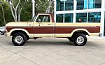 1979 F-150 Thumbnail 10