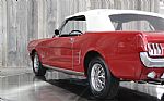 1966 Mustang Thumbnail 12