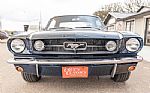 1965 Mustang Thumbnail 69