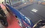 1965 Mustang Thumbnail 72