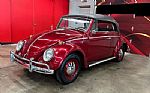 1964 Beetle Thumbnail 1