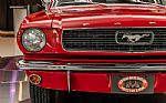 1966 Mustang Fastback Thumbnail 21