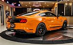 2020 Mustang Shelby Super Snake Thumbnail 12