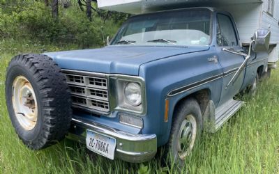 Photo of a 1978 Chevrolet C/K Truck C20 for sale