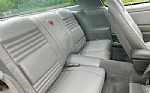 1979 Firebird Trans Am Thumbnail 48