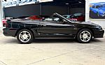 1997 Mustang Thumbnail 5
