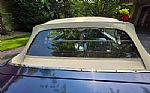 1967 Mustang Thumbnail 96