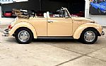 1971 Beetle Thumbnail 5