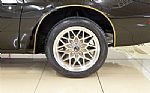 1977 Trans Am Thumbnail 9
