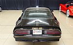 1977 Trans Am Thumbnail 15