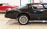 1977 Trans Am Thumbnail 22