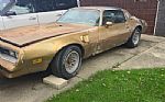 1978 Trans Am Thumbnail 2