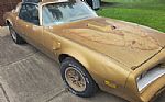 1978 Trans Am Thumbnail 3