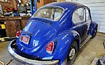 1968 Beetle Thumbnail 4