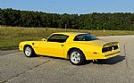 1976 Firebird Trans Am Thumbnail 2
