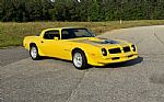 1976 Firebird Trans Am Thumbnail 1