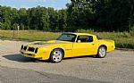 1976 Firebird Trans Am Thumbnail 5