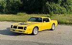 1976 Firebird Trans Am Thumbnail 6