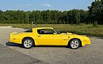 1976 Firebird Trans Am Thumbnail 9
