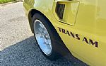 1976 Firebird Trans Am Thumbnail 13