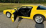 1976 Firebird Trans Am Thumbnail 10