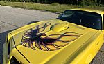1976 Firebird Trans Am Thumbnail 11