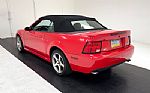 2004 Mustang SVT Cobra Convertible Thumbnail 5