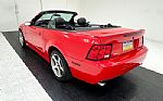 2004 Mustang SVT Cobra Convertible Thumbnail 6