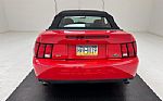 2004 Mustang SVT Cobra Convertible Thumbnail 7