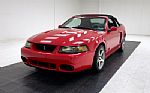 2004 Mustang SVT Cobra Convertible Thumbnail 1