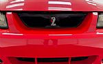 2004 Mustang SVT Cobra Convertible Thumbnail 12