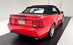 2004 Mustang SVT Cobra Convertible Thumbnail 8