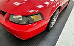 2004 Mustang SVT Cobra Convertible Thumbnail 32
