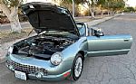 2004 Thunderbird Thumbnail 5