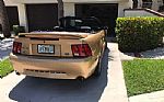 2000 Mustang Thumbnail 2