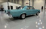 1964 GTO Thumbnail 6