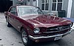 1964 Mustang Thumbnail 3