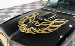1978 Firebird Trans-Am Thumbnail 3