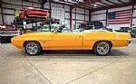1970 GTO SC/Tiger Thumbnail 4