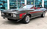 1973 Mustang Thumbnail 1