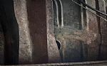 1969 442 Thumbnail 29